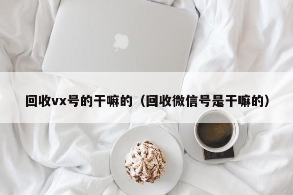 回收vx号的干嘛的（回收微信号是干嘛的）