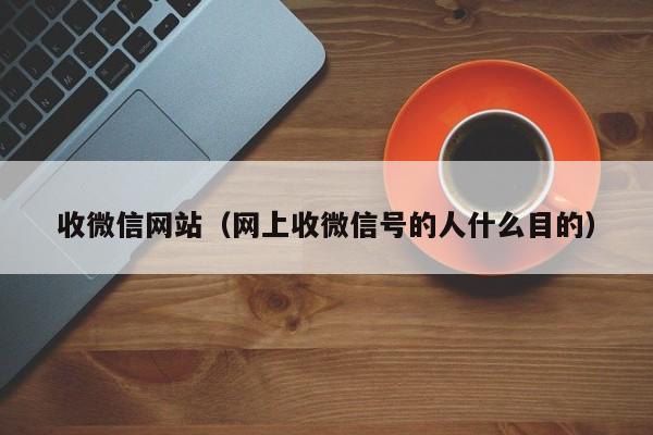 收微信网站（网上收微信号的人什么目的）