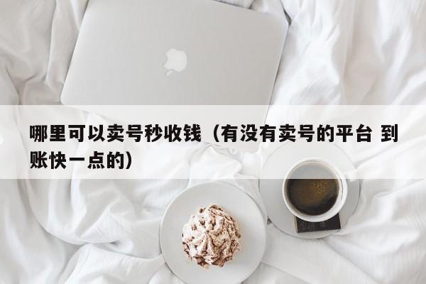 哪里可以卖号秒收钱（有没有卖号的平台 到账快一点的）