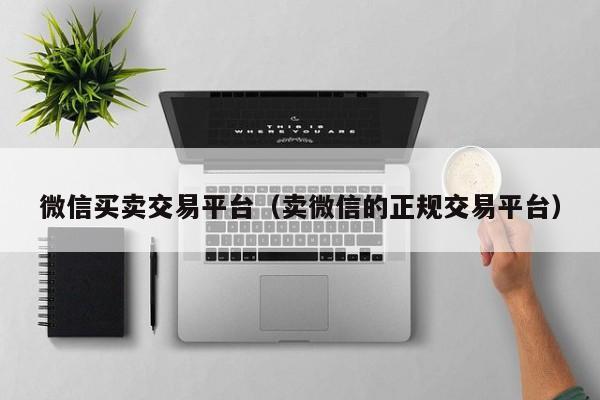 微信买卖交易平台（卖微信的正规交易平台）